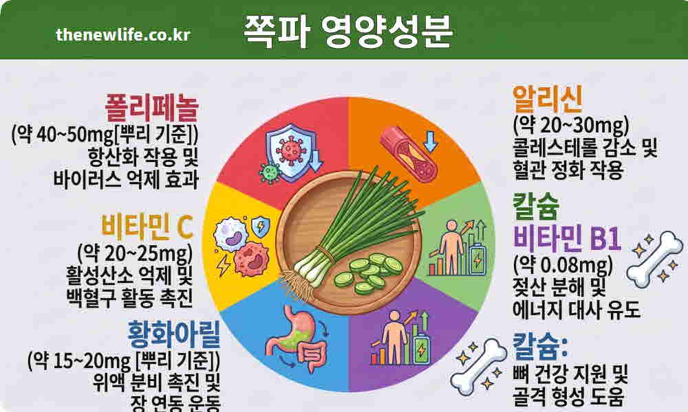쪽파 효능 영양성분
