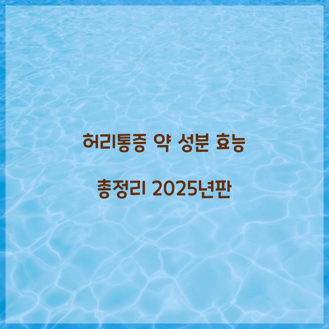 허리통증 약 성분 효능