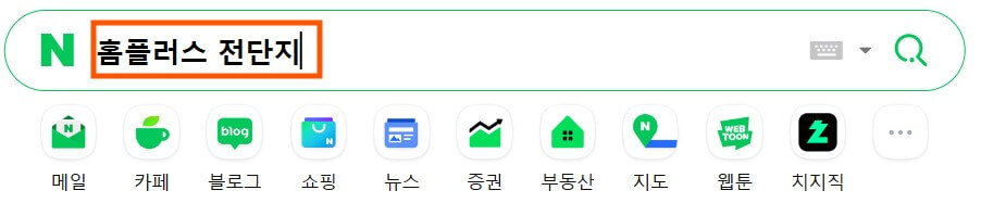 네이버에서 홈플러스 전단지 검색하는 화면