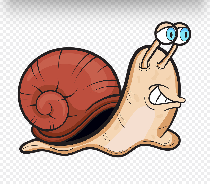 디지털 시대에 '느리게 사는 법'