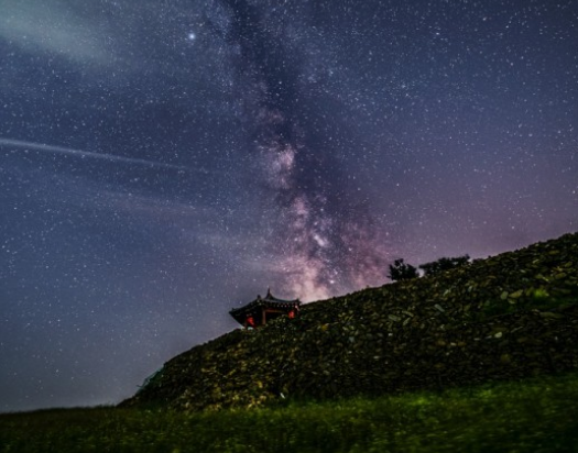 전국수선화명소
