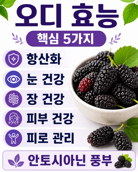 오디 효능
