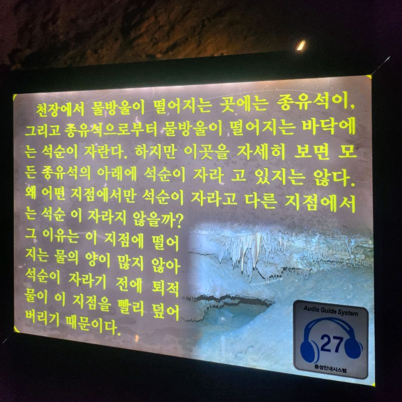 천곡황금박쥐동굴