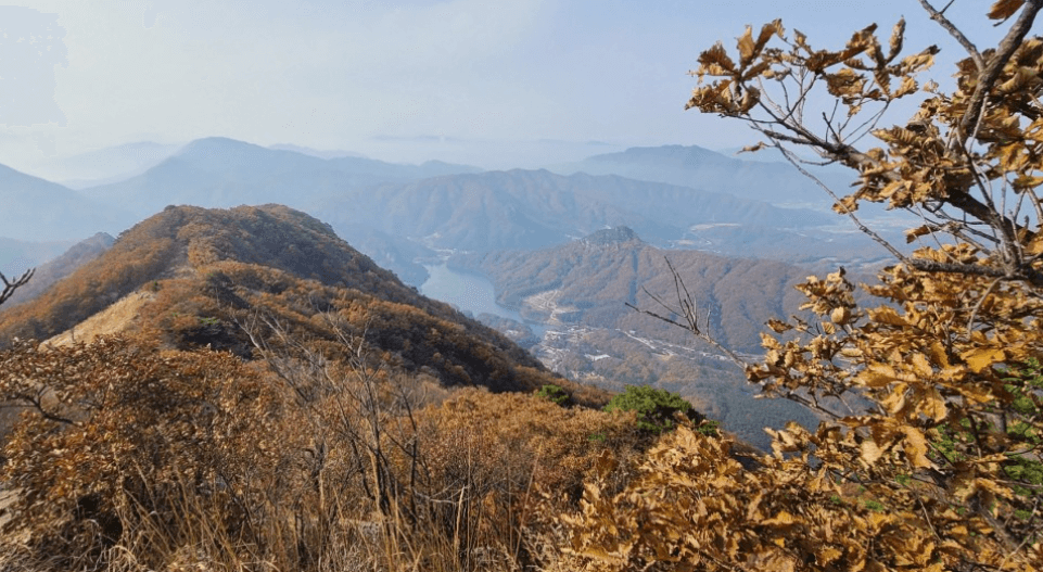 명성산 억새축제 경기도 가을여행지 가족데이트 추천 (2023) 출처: 네이버블로그 야가자!