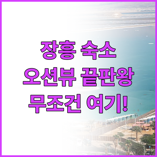 장흥 여행 숙소 총정리 오션뷰 리조트..