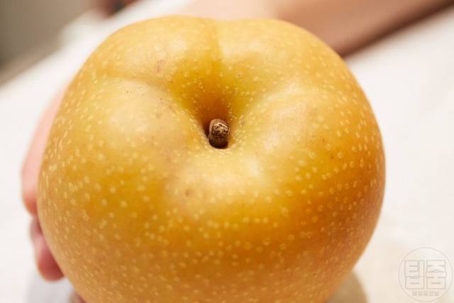 맛있는 배 고르는 방법 클로즈업