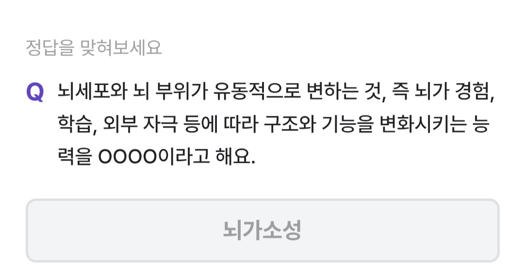 비트버니 3월 3일 퀴즈 정답 ㄴㄱㅅㅅ