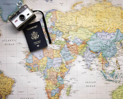 해외에서 인기 있는 이색 식물