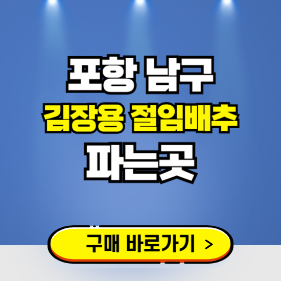 포항 남구 절임배추 사전예약 구입하는곳 ❘ 김장배추 파는곳 가격보기