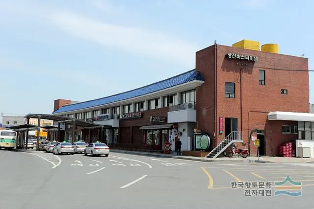 영천 시외버스터미널 시간표 예매 요금_5