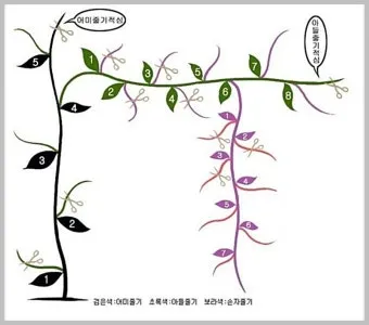 참외 순치기 순지르기 방법과 그림으로 쉽게 정리_2