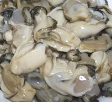 인어교주해적단