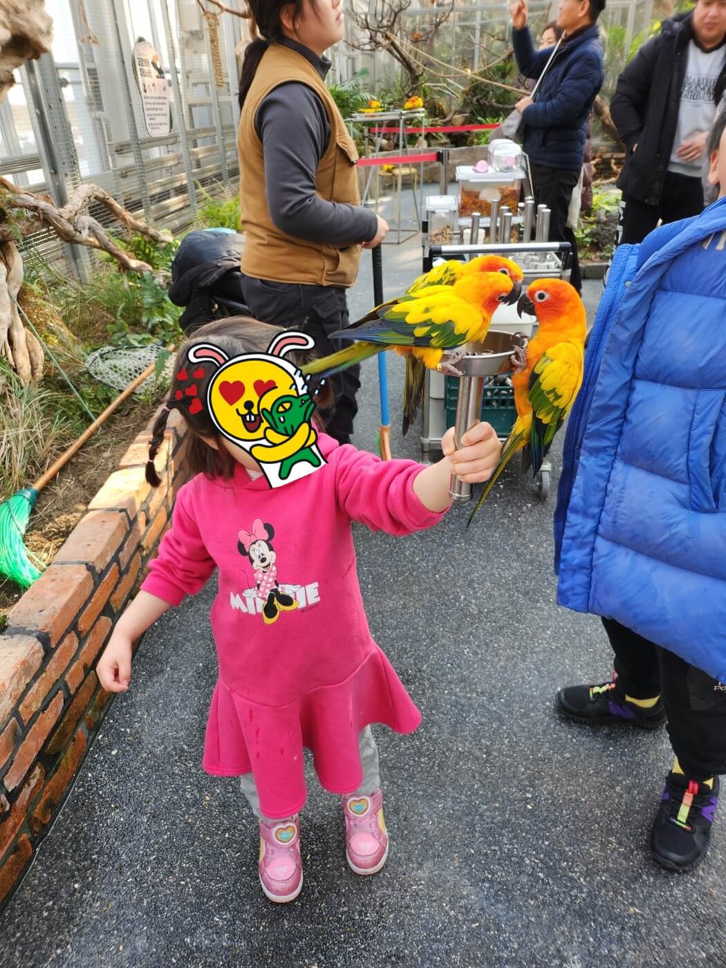 가평 베고니아 정원