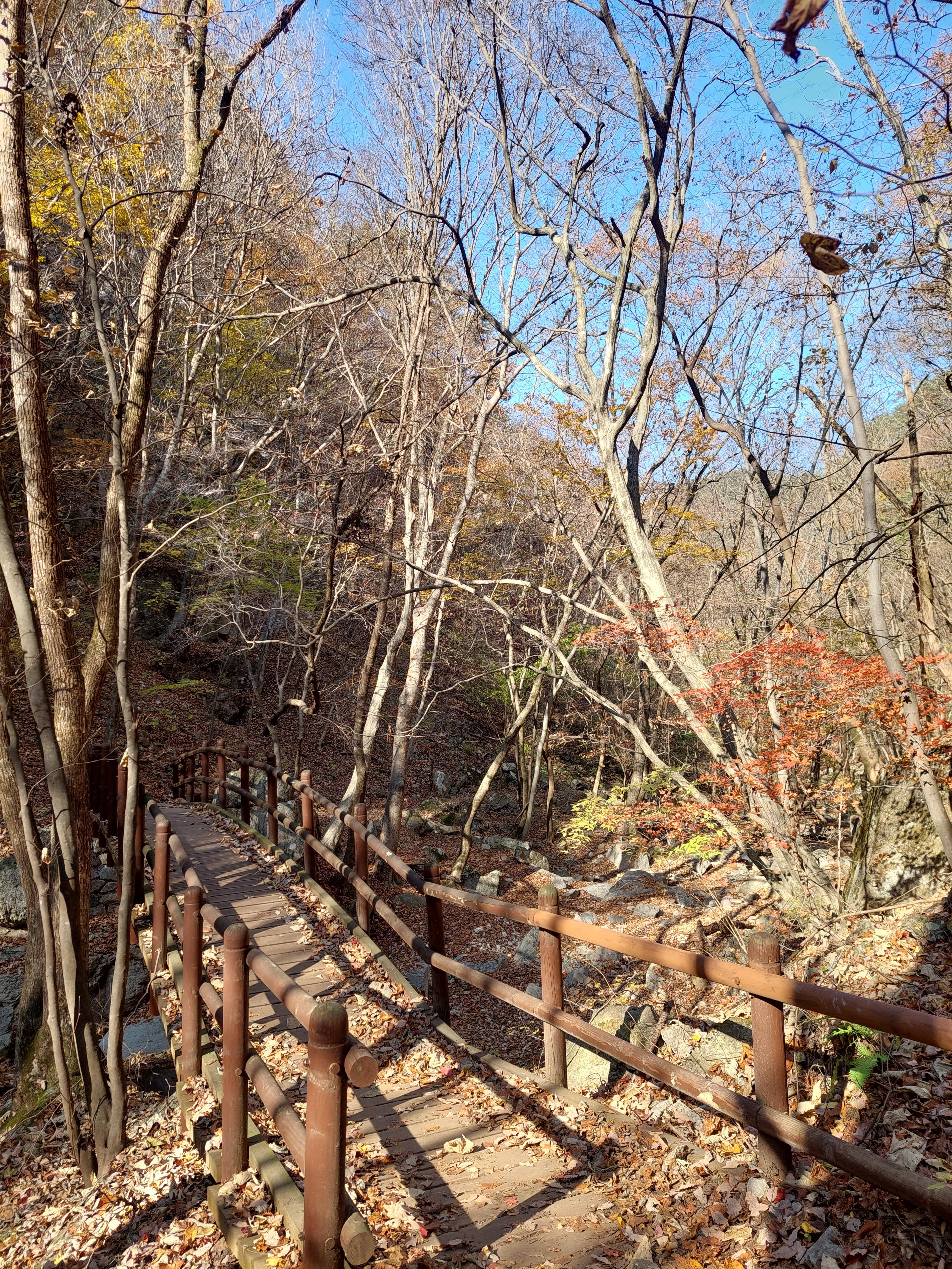 주왕산