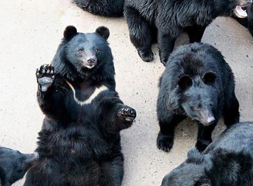 베어트리파크 사진