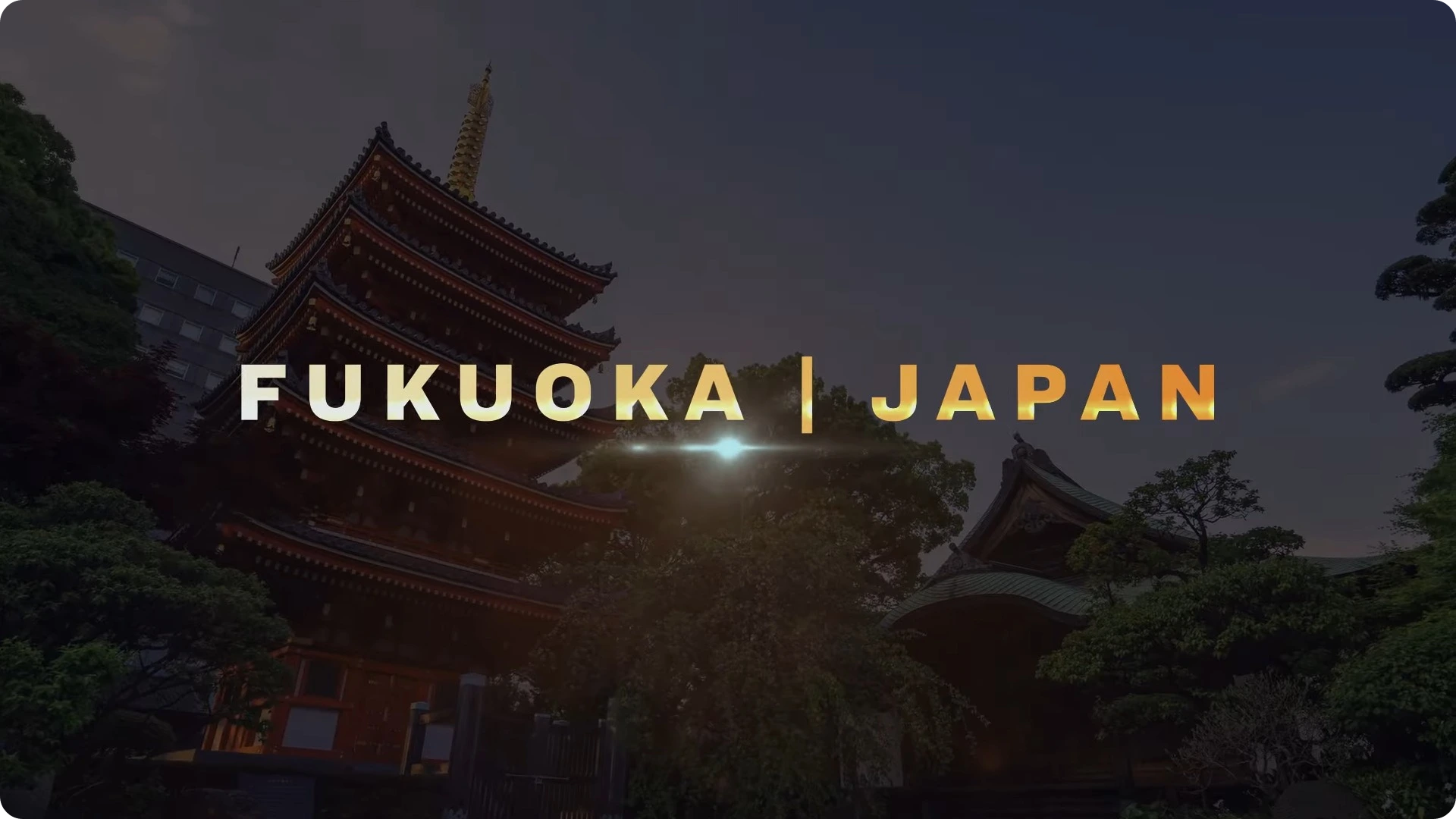 탁구 2024 WTT 파이널 후쿠오카 대회 경기 일정 시간 대진표 중계 결과 단식 복식 우승 준우승 상금 신유빈 전지희 장우진