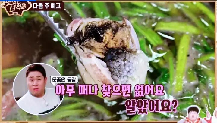 맛있는녀석들 제371회 대왕 쭈꾸미 샤부샤부 맛있는녀석들 맛집 소개