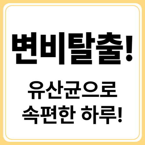 변비에 좋은 유산균 총정리 &ndash; 장 건강 회복의 첫걸음