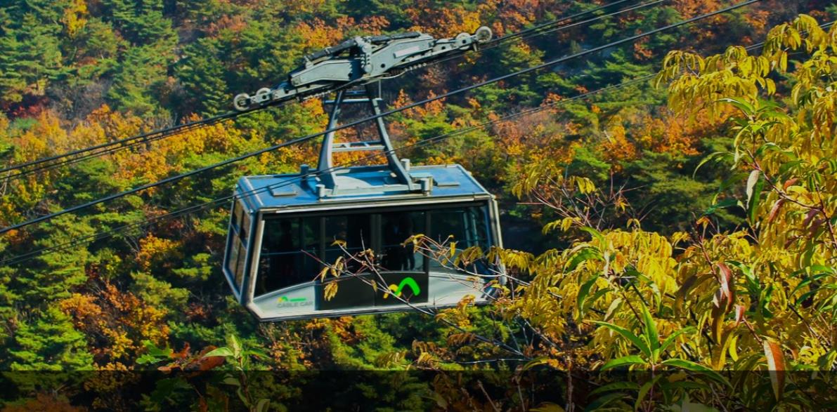 서울단풍명소 추천