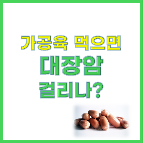 가공육과 대장암의 상관관계