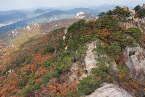 오대산 국립공원 실시간 cctv