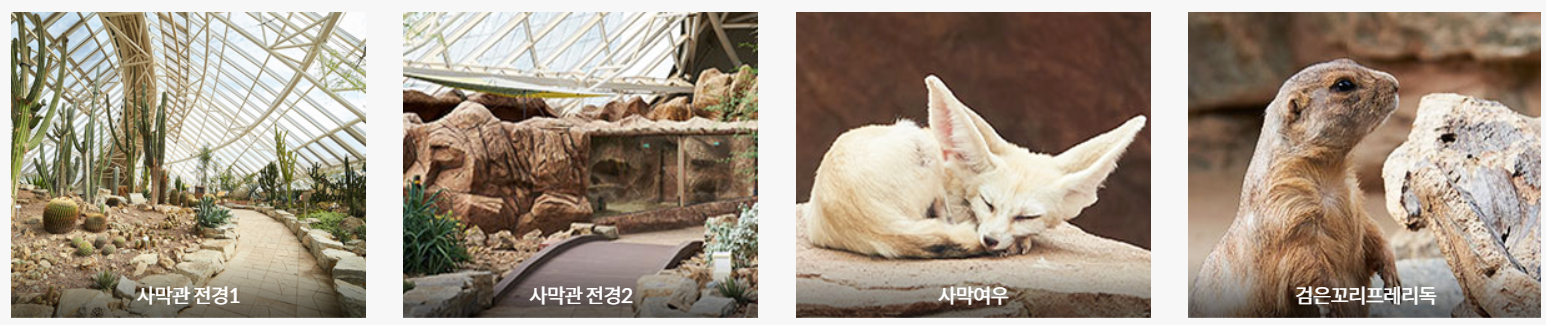 충남 서천 국립생태원: 실내 에코리움과 야외 전시, 백패커 방문