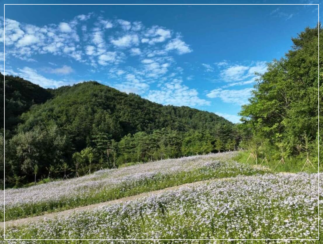 평창 가볼만한곳 베스트10 국립한국자생식물원