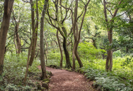 5월제주도 가볼만한곳