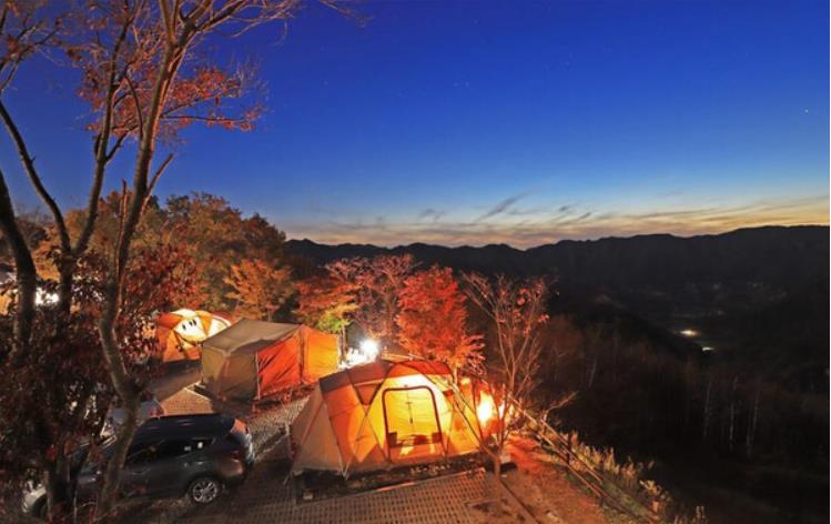 정선 동강자연휴양림