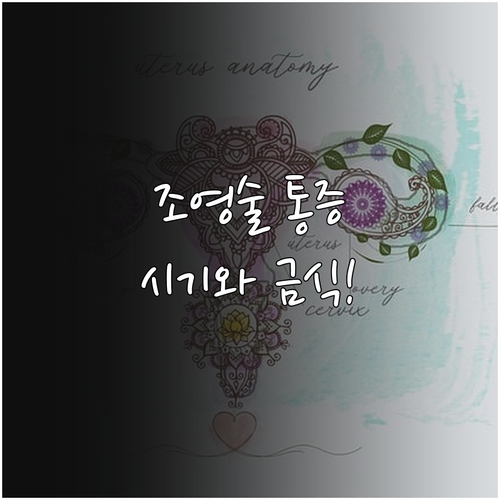 나팔관 조영술 금식 여부와 검사 시기..