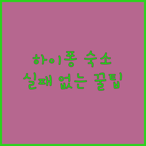 베트남 하이퐁 호텔 예약 전 꼭 확인..