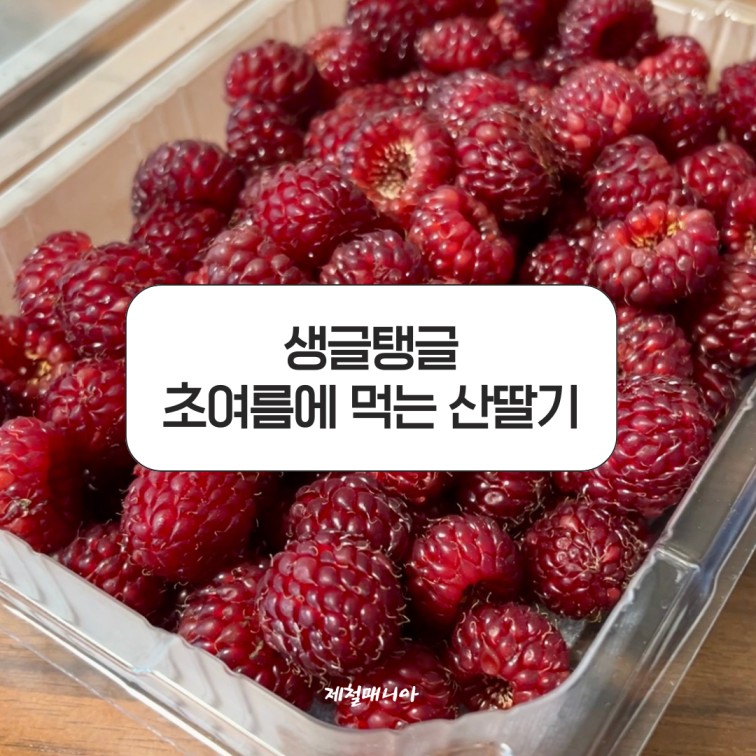 산딸기