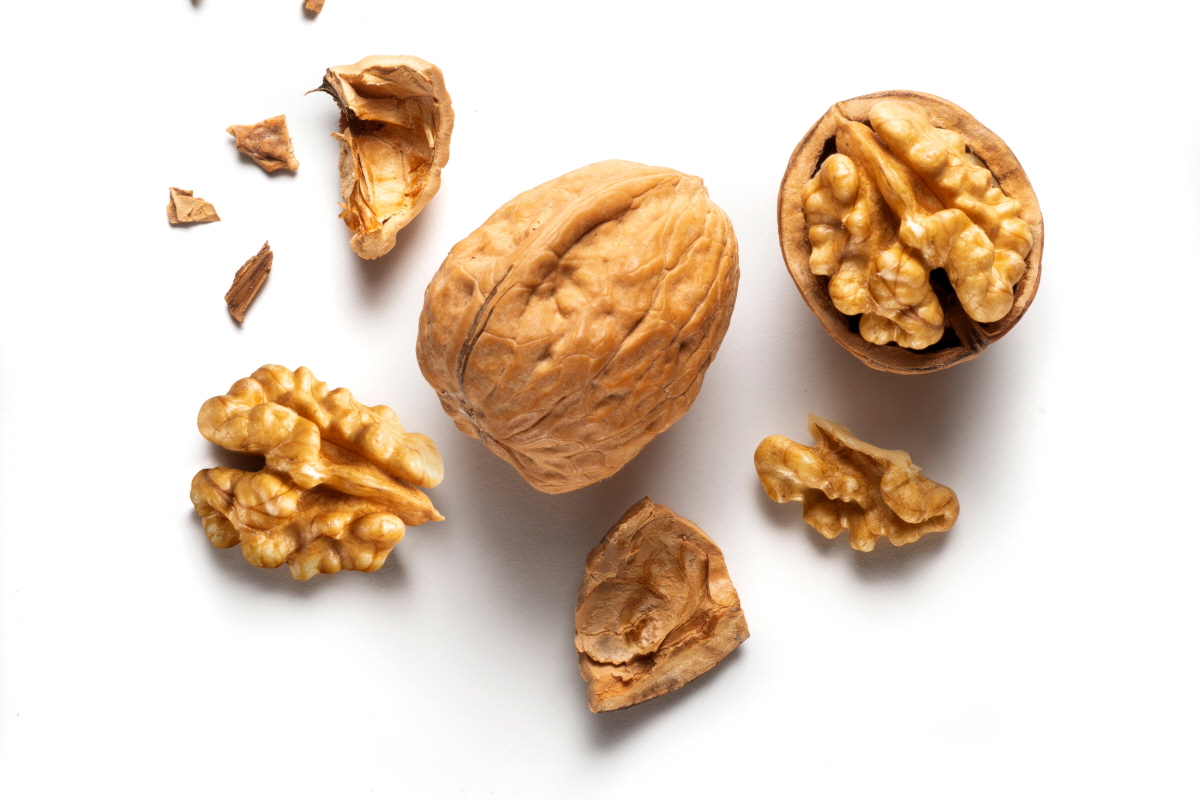 멜라토닌 많은 음식