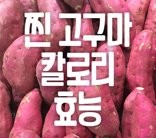 찐 고구마 칼로리 효능