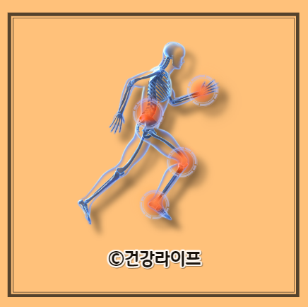 글루코사민의 효능, 글루코사민 부작용, 글루코사민 복용법