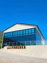 여름 바다 도시 숨은 핫플 전남 고흥 카페