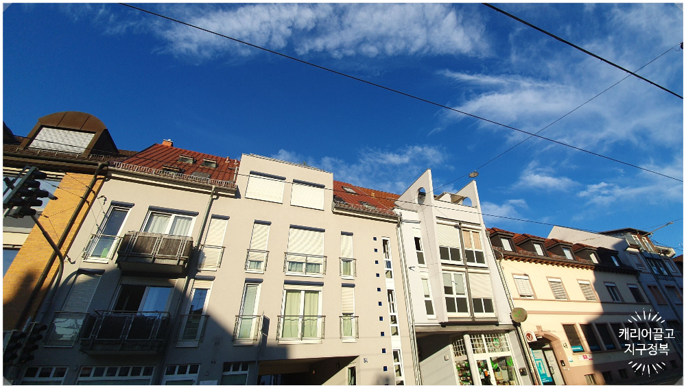 벌레가 없어 필요없는 독일 모기장