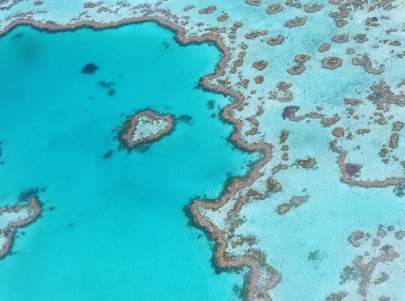 해양보호구역을 통한 국제적 노력과 사례 긍정적효과