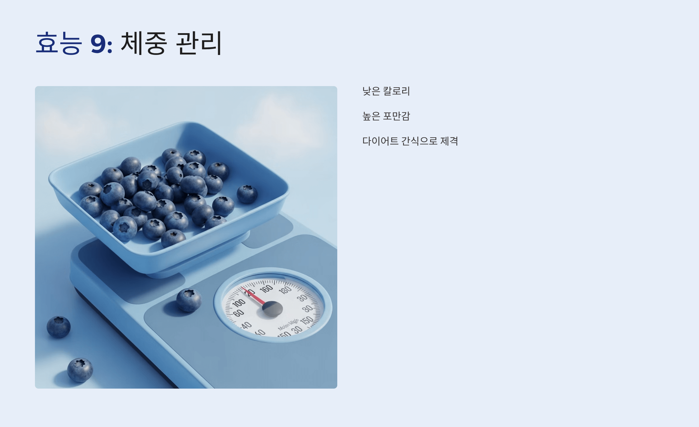 블루베리 사진입니다.