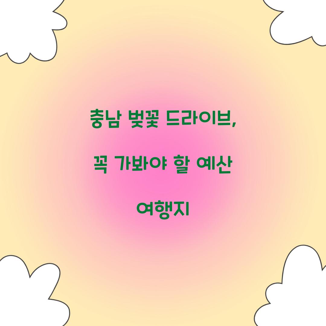 충남 벚꽃 드라이브