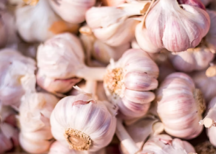 지방간에 좋은 음식