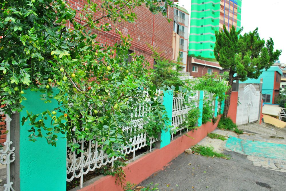 주례동 온골행복마을