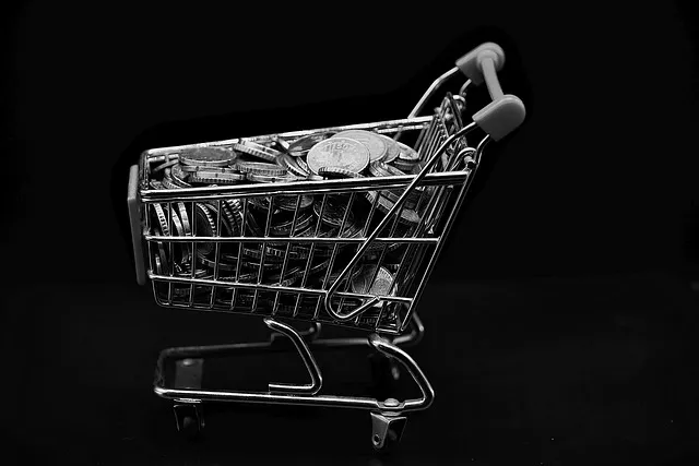 갤럭시 S25 울트라 S펜으로 사진 찍는 방법과 활용팁_9