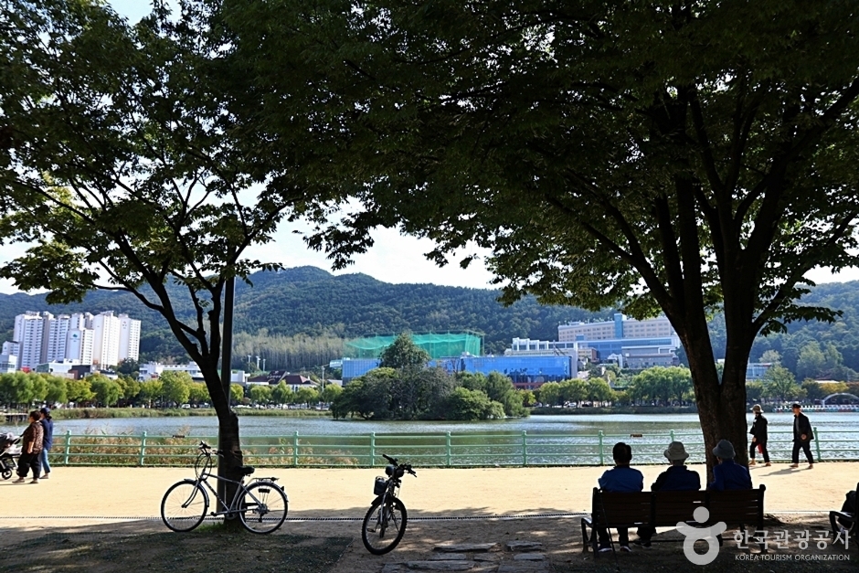 대구 여행