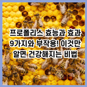 프로폴리스 효능과 효과 9가지와 부작용! 이것만 알면 건강해지는 비법
