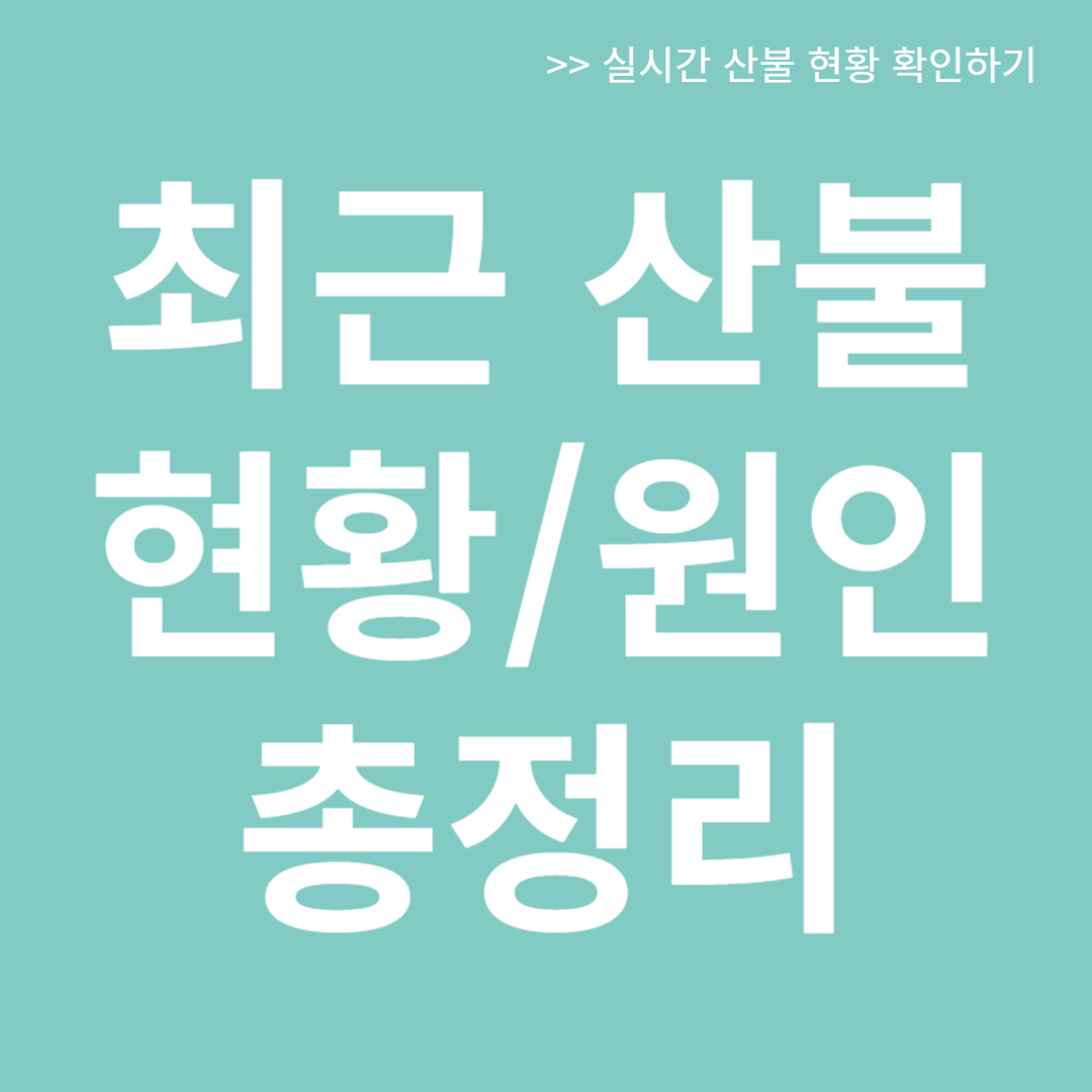 최근 산불 현황과 원인