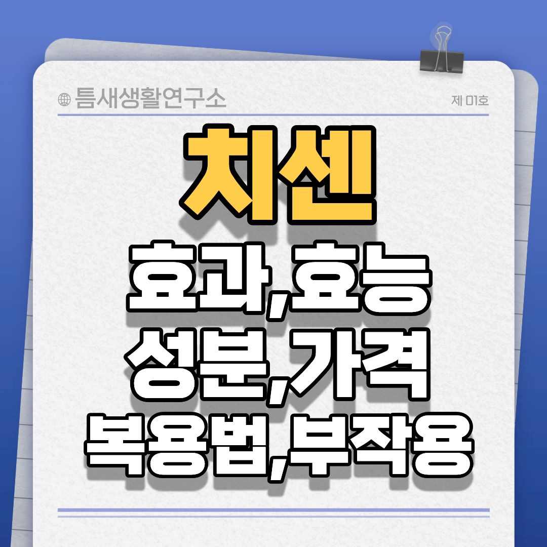 치센-썸네일
