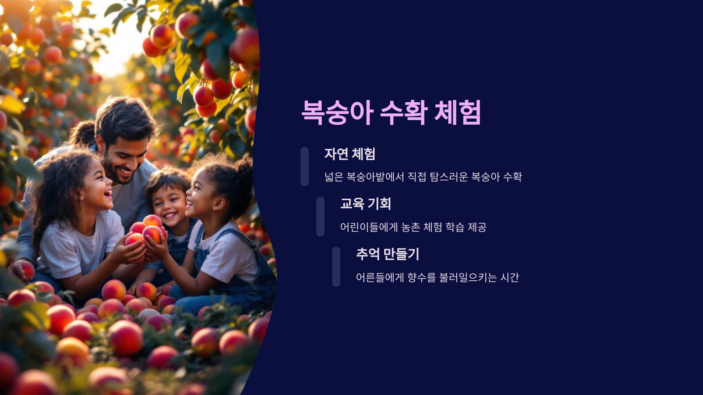 🍑 이천 제29회 햇사레 장호원 복숭아축제, 달콤한 향기 가득한 3일간의 행복 여행!