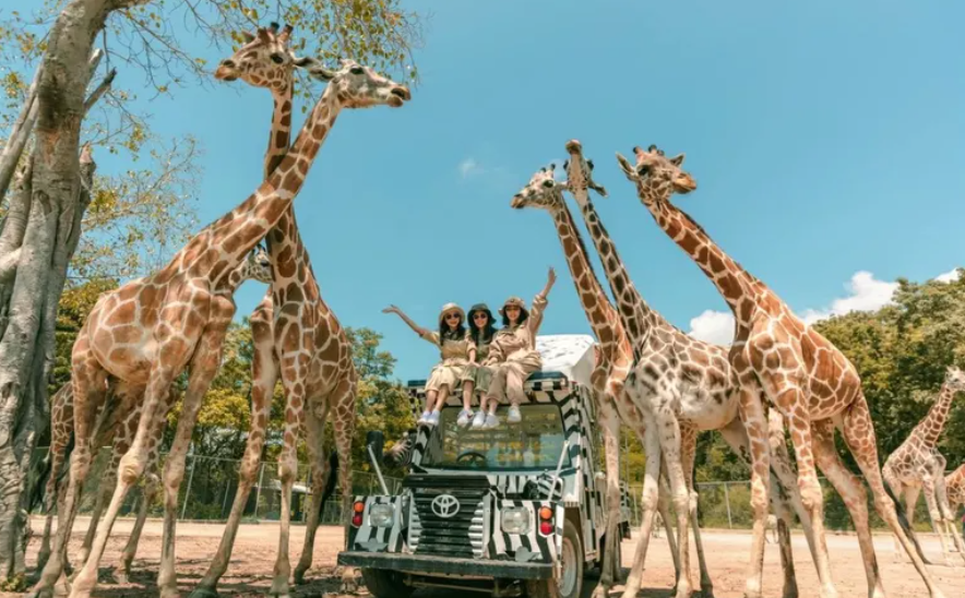 방콕 사파리월드