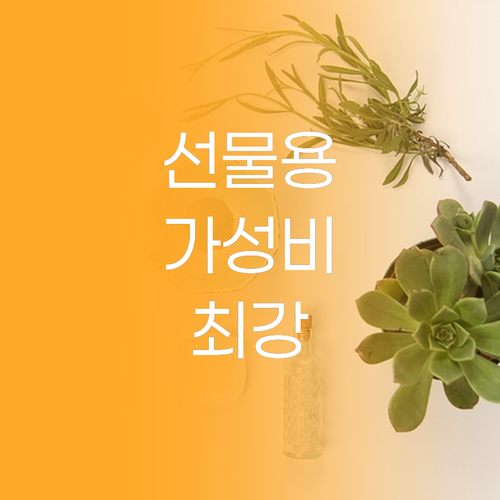 선물용 가성비 갑은 바로 이것 지니윰..